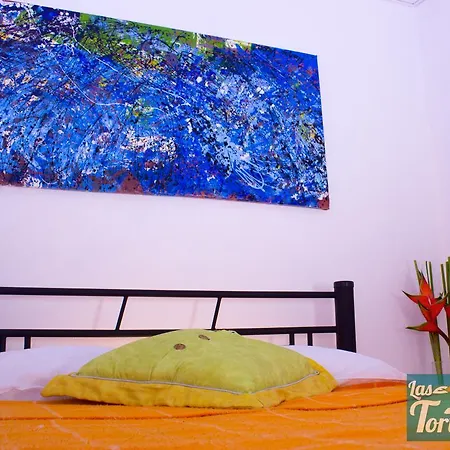 Hostal Las Tortugas Cartagena