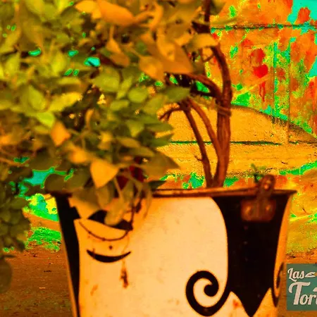 Hostal Las Tortugas