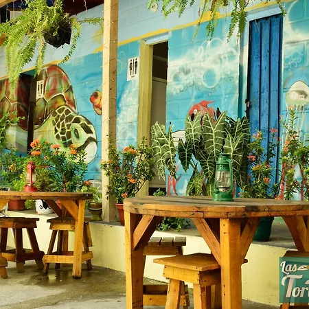 Las Tortugas