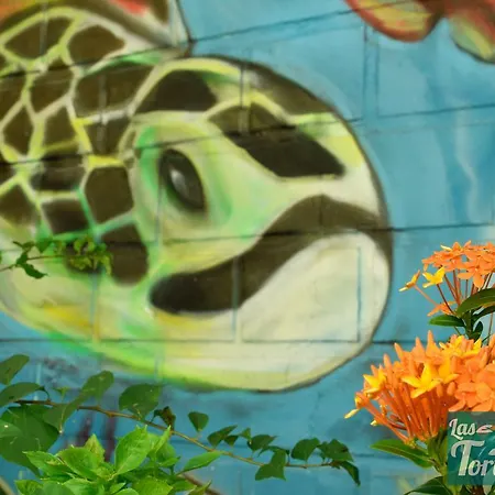 Las Tortugas Cartagena