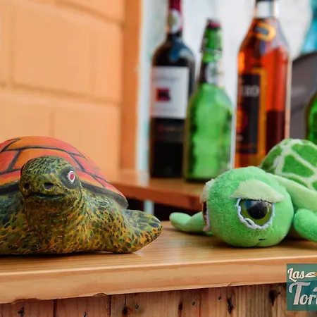 Hostal Las Tortugas *
