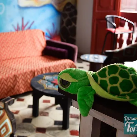 Las Tortugas