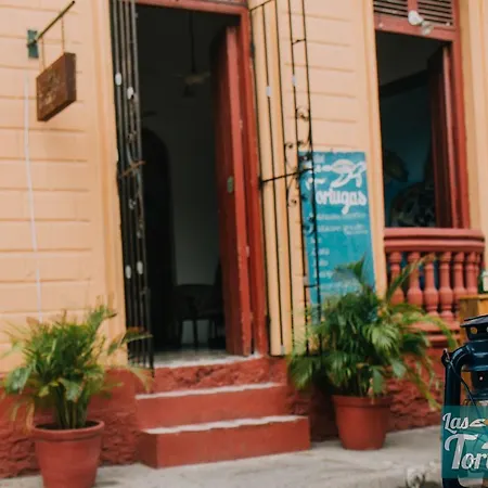 Hostal Las Tortugas *