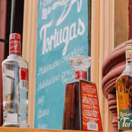 Hostal Las Tortugas *