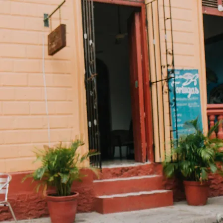 Las Tortugas * Cartagena