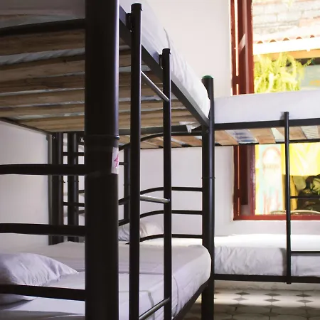Las Tortugas Hostal