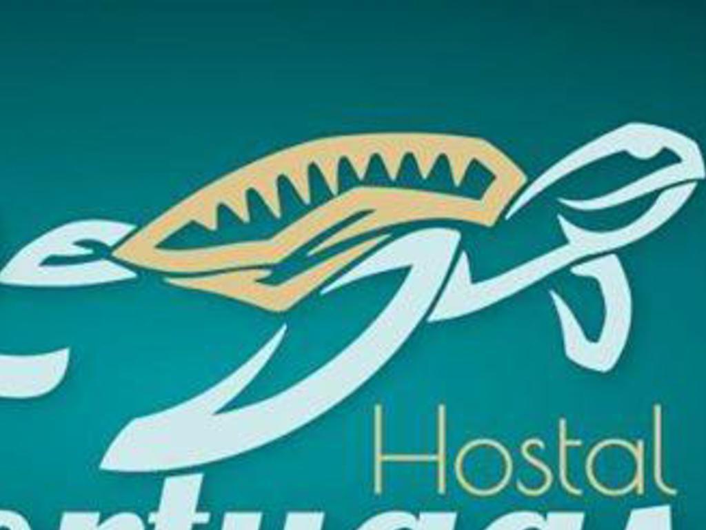 Hostel Las Tortugas *