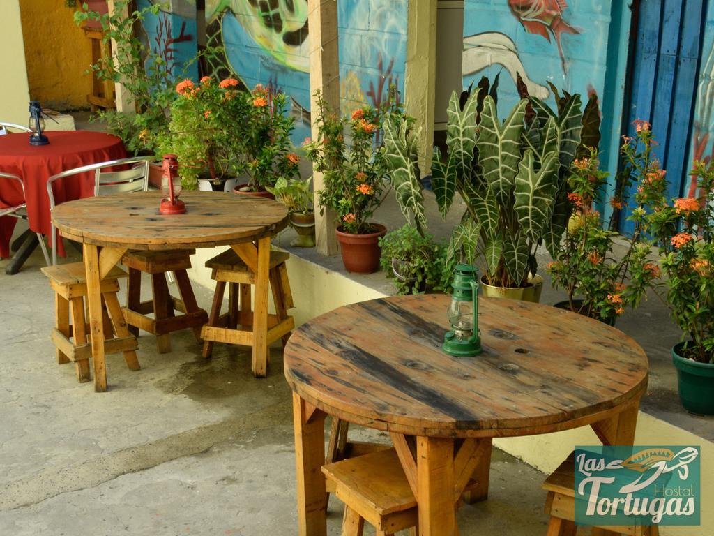 Hostel Las Tortugas *