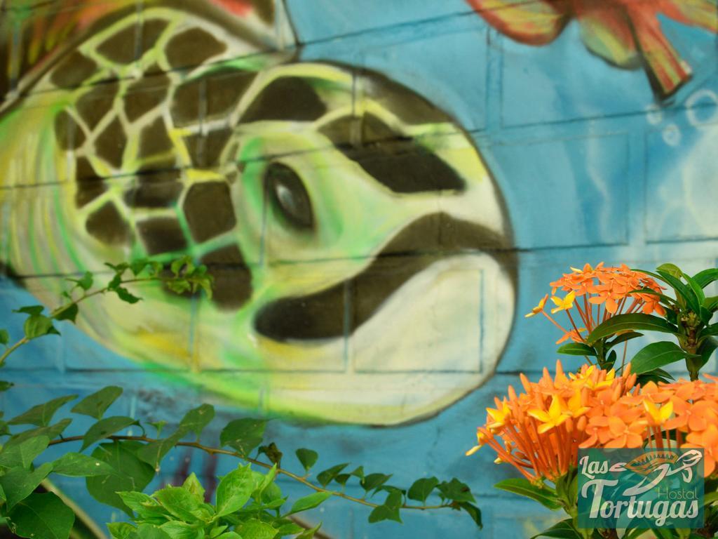 Las Tortugas Cartagena