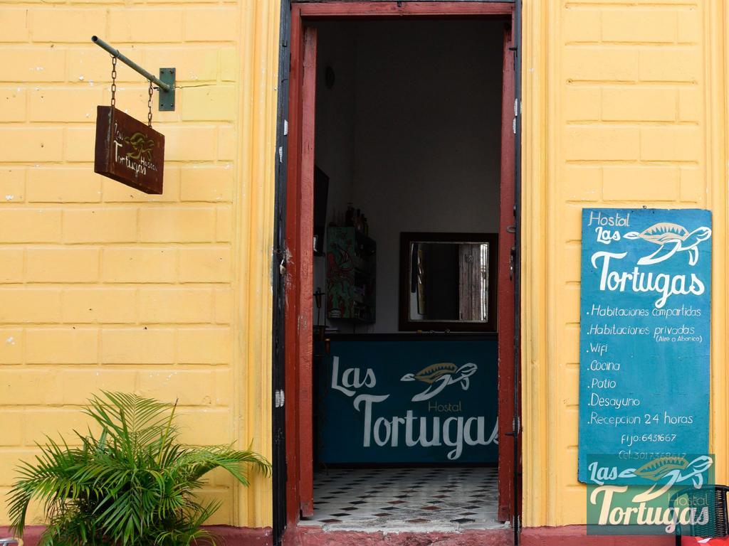 Hostel Las Tortugas