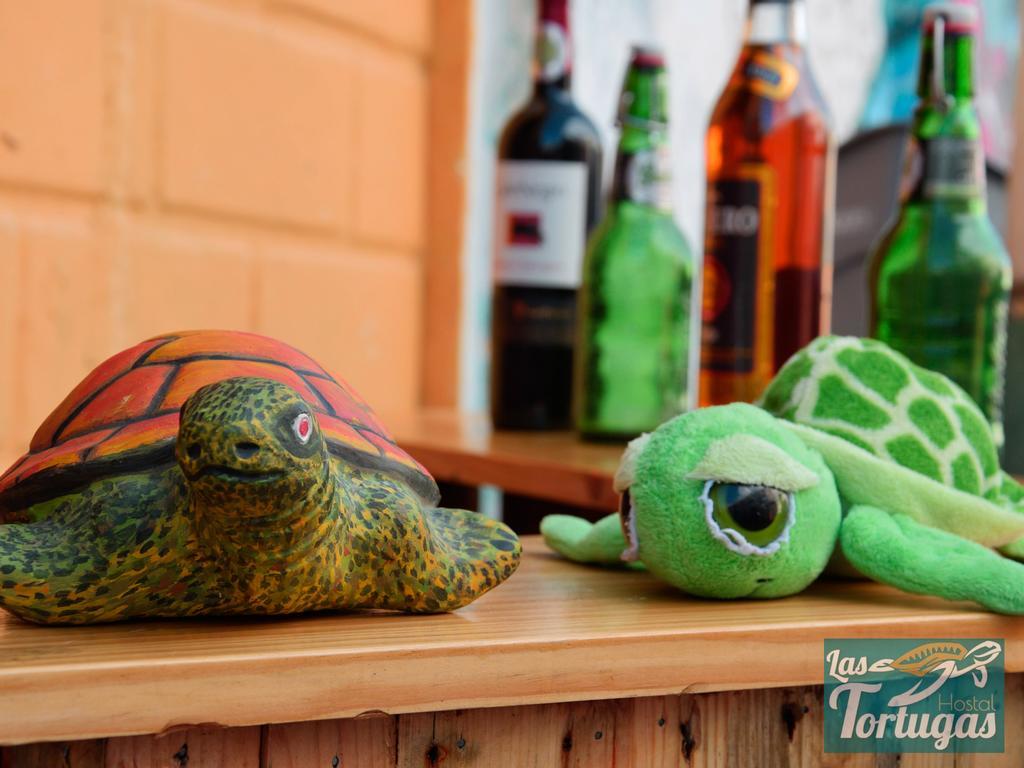 Hostal Las Tortugas *