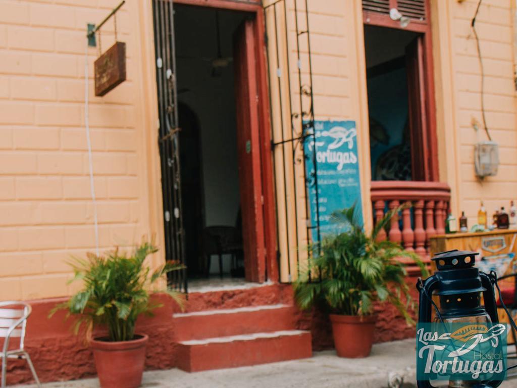 Hostel Las Tortugas *