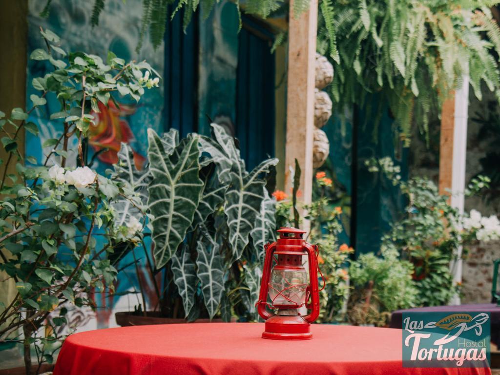 Hostal Las Tortugas