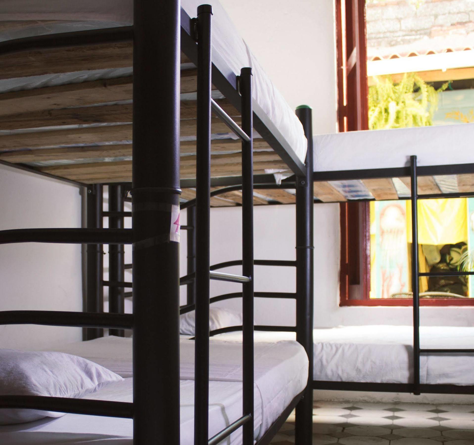 Las Tortugas Hostal